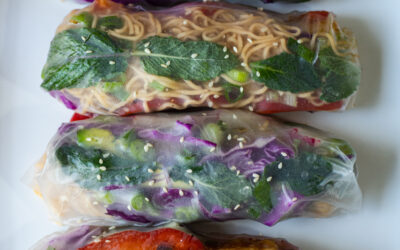 ASIAN INSPIRED SPRING ROLLS