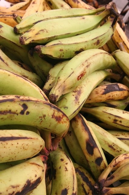 Plantains <3! Most of my weekend breakfasts…