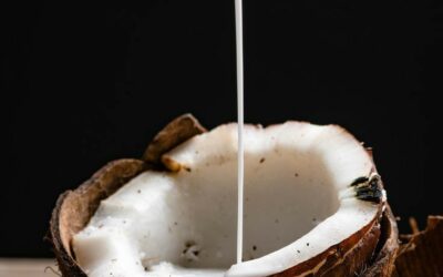 Coconut Milk